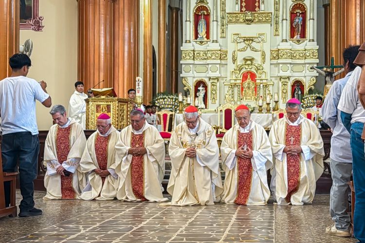 Na kolenih pred žrtvami: kardinal v Peruju izrekel besede, ki jih Cerkev redko sliši